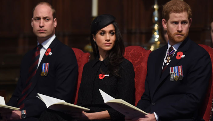 Prince William Seizes Control of Royal Family as Meghan and Harry’s Titles Face Growing Uncertainty