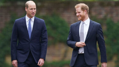 Prince Harry Sparks Fresh Rivalry With Big Announcement On the Day Prince William Receives Major Honour