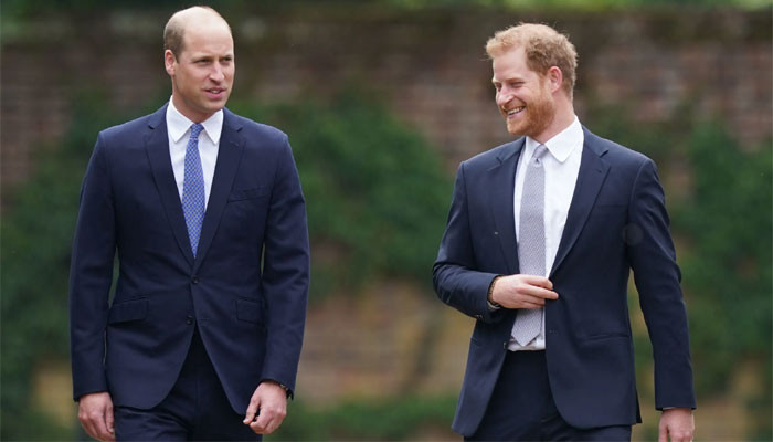 Prince Harry Sparks Fresh Rivalry With Big Announcement On the Day Prince William Receives Major Honour