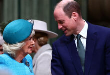Prince William and Queen Camilla Secretly Drove King Charles to Strip Andrew Mountbatten of His Royal Titles