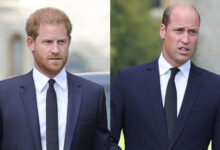 Prince Harry’s Toronto Trip Sparks New Royal Tension as Prince William’s Ceasefire Crumbles