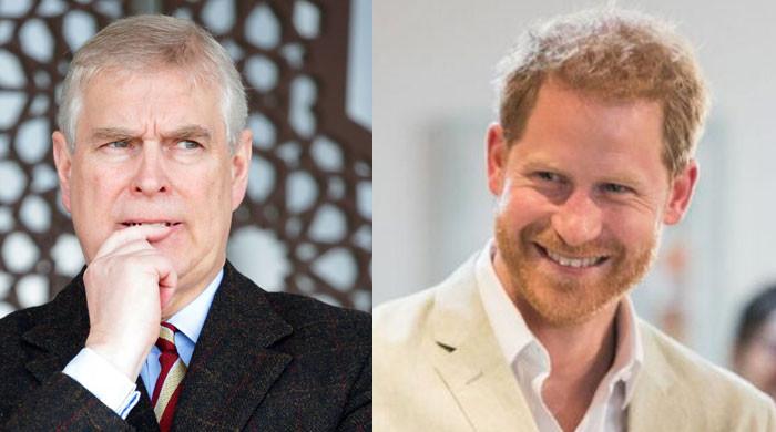 Prince Harry and Andrew Mountbatten Windsor Join Forces to Challenge Prince William’s Growing Power