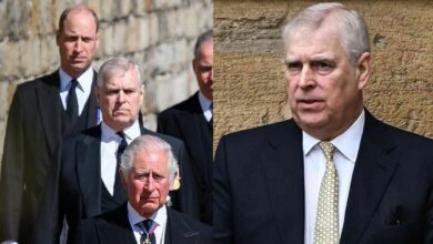 Prince William Explodes in Fury Over Andrew Mountbatten’s Statement as King Charles Finally Forced to Ac