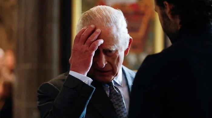 Buckingham Palace Goes into Panic Mode as Parliament Moves to Target Prince Andrew’s Titles