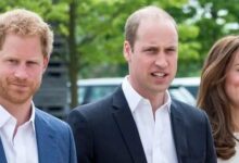 Kate Middleton Holds the Key to Ending Prince William and Prince Harry’s Painful Feud