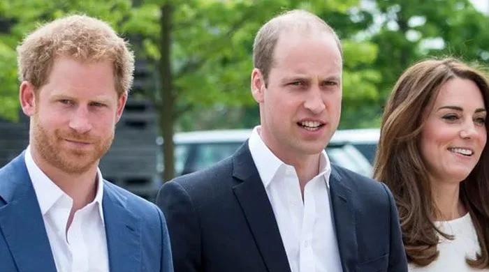 Kate Middleton Holds the Key to Ending Prince William and Prince Harry’s Painful Feud