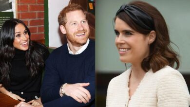 Prince Harry’s Secret Plan for Princess Eugenie Exposed After Shocking Family Twist