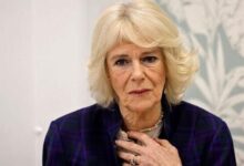 Queen Camilla’s Hidden Jewelry Heist That Forced MI5 Into Emergency Action