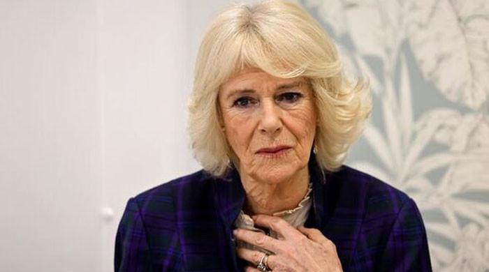 Queen Camilla’s Hidden Jewelry Heist That Forced MI5 Into Emergency Action