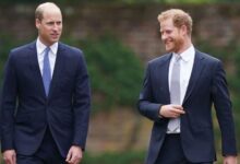 Prince Harry Sends Subtle Yet Powerful Message to Prince William Amid Ongoing Royal Rift