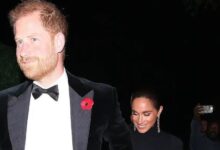 Prince Harry Slammed for Attending Party During Remembrance Weekend with Meghan Markle