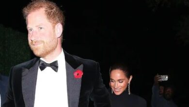 Prince Harry Slammed for Attending Party During Remembrance Weekend with Meghan Markle