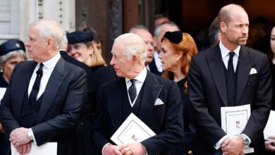 Andrew Mountbatten Leaves King Charles and Prince William Furious with Another Embarrassing Move