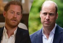 Prince Harry in Total Panic as Prince William Shuts Him Out While Royal Power Shift Intensifies