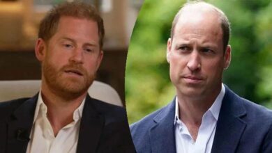 Prince Harry in Total Panic as Prince William Shuts Him Out While Royal Power Shift Intensifies