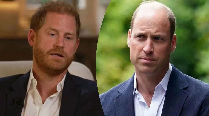 Prince Harry in Total Panic as Prince William Shuts Him Out While Royal Power Shift Intensifies