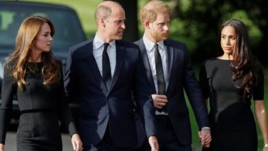 Kate Middleton Stuns Royal Fans With Secret Plea Calling On Prince Harry To Return Home Without Meghan Markle