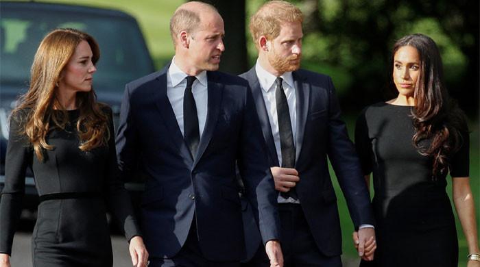 Kate Middleton Stuns Royal Fans With Secret Plea Calling On Prince Harry To Return Home Without Meghan Markle