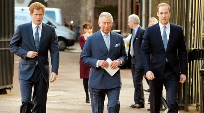 King Charles Silence Sparks Shock Claims That He Accidentally Destroyed Prince William And Prince Harry Bond