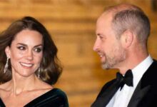 Secret Files Exposed Spy Agencies Caught Recording Prince William in Shocking Royal Surveillance Plot