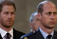 Prince William’s Secret Warning To Prince Harry As New Documentary Reveals How Meghan Markle Shattered Their Bond