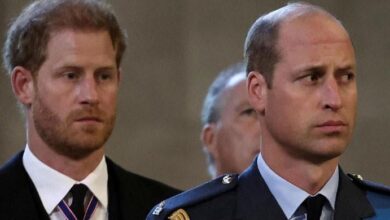 Prince William’s Secret Warning To Prince Harry As New Documentary Reveals How Meghan Markle Shattered Their Bond