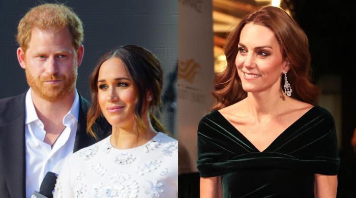 Meghan Markle and Prince Harry Sound Emergency Warning After Kate Middleton Emotional Appeal