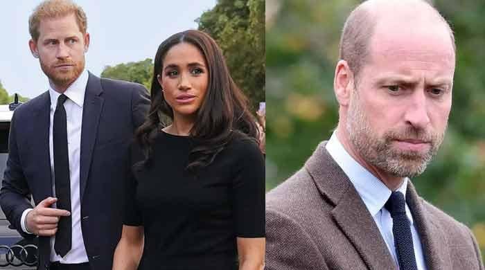 Prince William Moves to Crush Prince Harry and Meghan Markle as New Royal Power Struggle Erupts