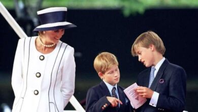 Princess Diana’s Secret Regret About Prince William And Prince Harry Finally Revealed