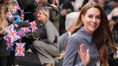 Duchess Sophie Shines As She Steps Into Princess Kate’s Mission With Powerful New Royal Visit