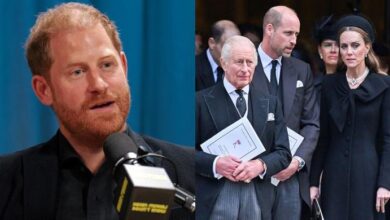 Prince Harry Crowned Unexpected Role Model As New Praise From Royal Insider Leaves Palace Watchers Stunned