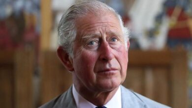 King Charles Stuns Nation With Heartbreaking Christmas Message That Leaves Royal Plans Shaken