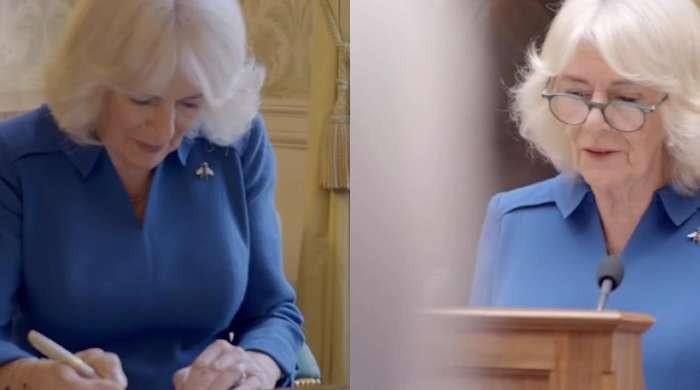 Queen Camilla Sparks Powerful New Movement That Buckingham Palace Never Expected