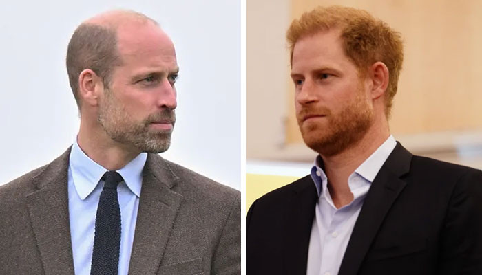 Prince William and Prince Harry Brace for Explosive Public Reunion After Three Year Silence