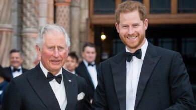King Charles Stuns Palace Followers With New Message Just Hours After Prince Harry Scores Major Legal Victory