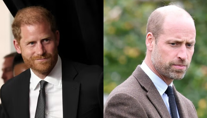 Prince Harry Shocks Prince William as Explosive UK Power Play Finally Comes to Light