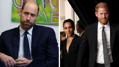 Prince William Quietly Scales Back Explosive Royal Plans After Harry and Meghan Suffer Major Setback