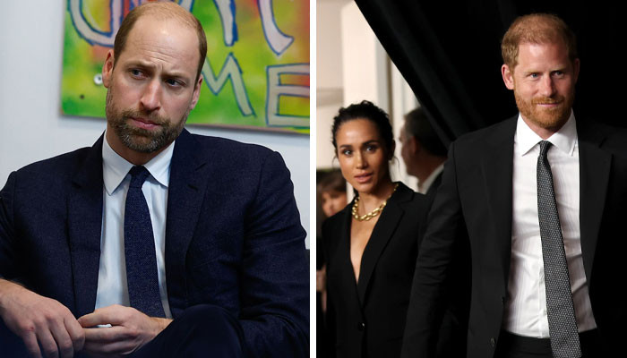 Prince William Quietly Scales Back Explosive Royal Plans After Harry and Meghan Suffer Major Setback