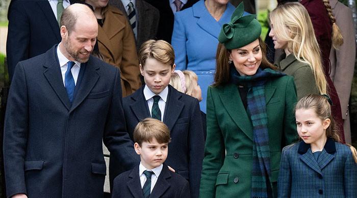 Paddington Shocks the Palace After Delivering a Christmas Surprise That Leaves the Royal Children Overjoyed