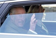 King Charles Pushes Through Historic Germany Power Move While Battling Cancer