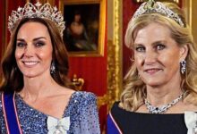 Kate Middleton and Duchess Sophie Break Silence With Bold United Front That Shakes the Palace