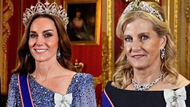Kate Middleton and Duchess Sophie Break Silence With Bold United Front That Shakes the Palace