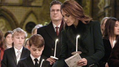 Royal Fans Lose Control After New Photos Reveal Prince Louis Is The Secret Twin of Kate Middleton