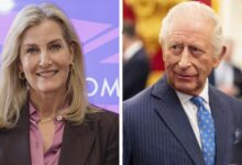 Duchess Sophie Steps Forward With King Charles Message as Historic Reunion Revives Royal Emotions