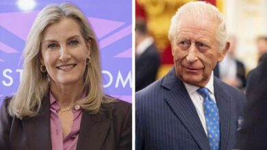 Duchess Sophie Steps Forward With King Charles Message as Historic Reunion Revives Royal Emotions