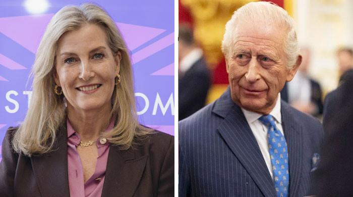 Duchess Sophie Steps Forward With King Charles Message as Historic Reunion Revives Royal Emotions