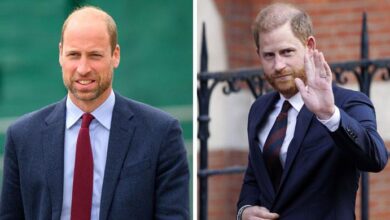 Prince William Sends Powerful Signal as Prince Harry Faces Fresh Turmoil Behind Palace Walls