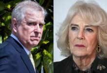 Queen Camilla Draws Firm Line on Abuse as Andrew Fallout Sends Powerful Royal Message