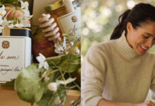 Meghan Markle Sparks Fresh Backlash as Basic Chic Lifestyle Posts Trigger Red Paint Jokes