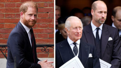 Prince Harry Forced to Accept King Charles Tough Condition as Prince William Loyalty Takes Priority
